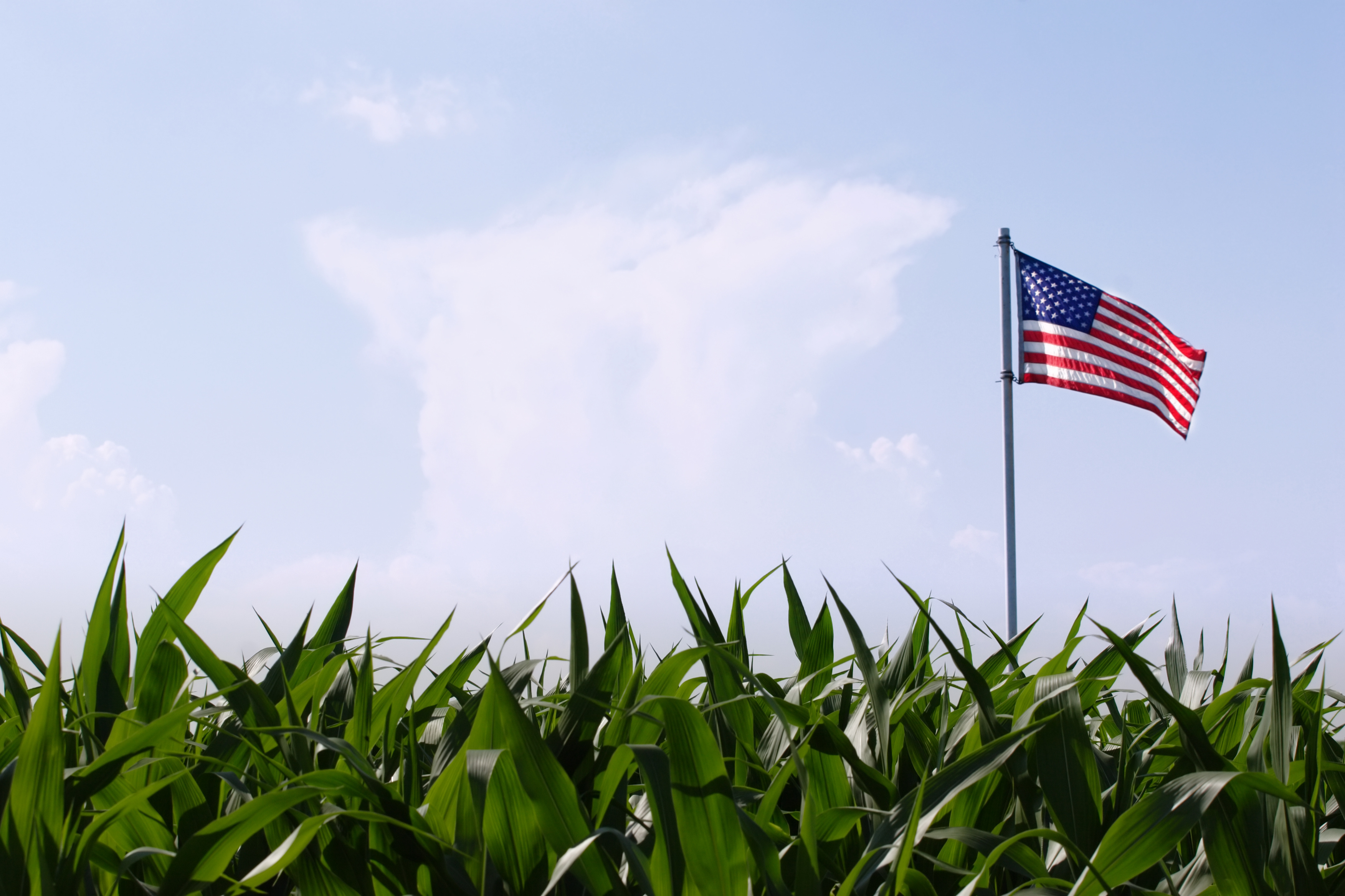 A major step forward in keeping American land in American hands