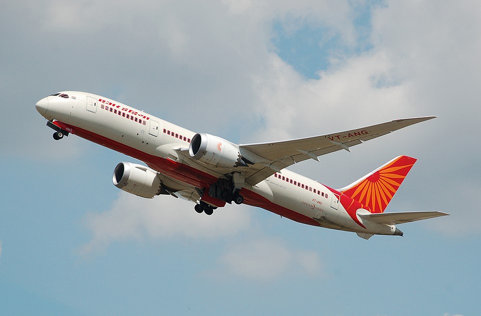 Air India Boeing 787 fatal crash