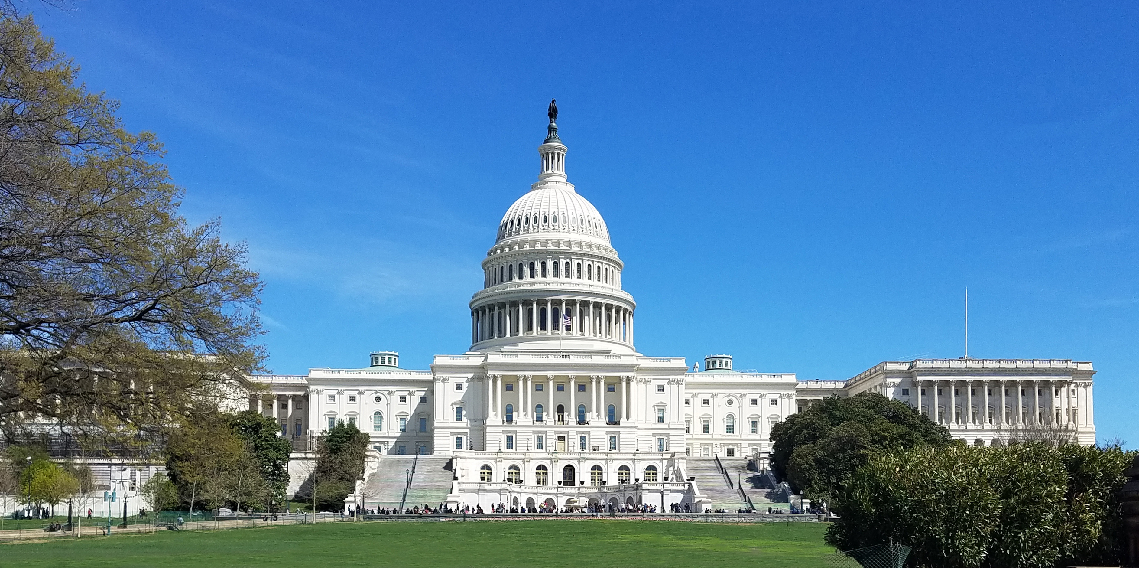House Oversight Committee launches investigation into “birth tourism”