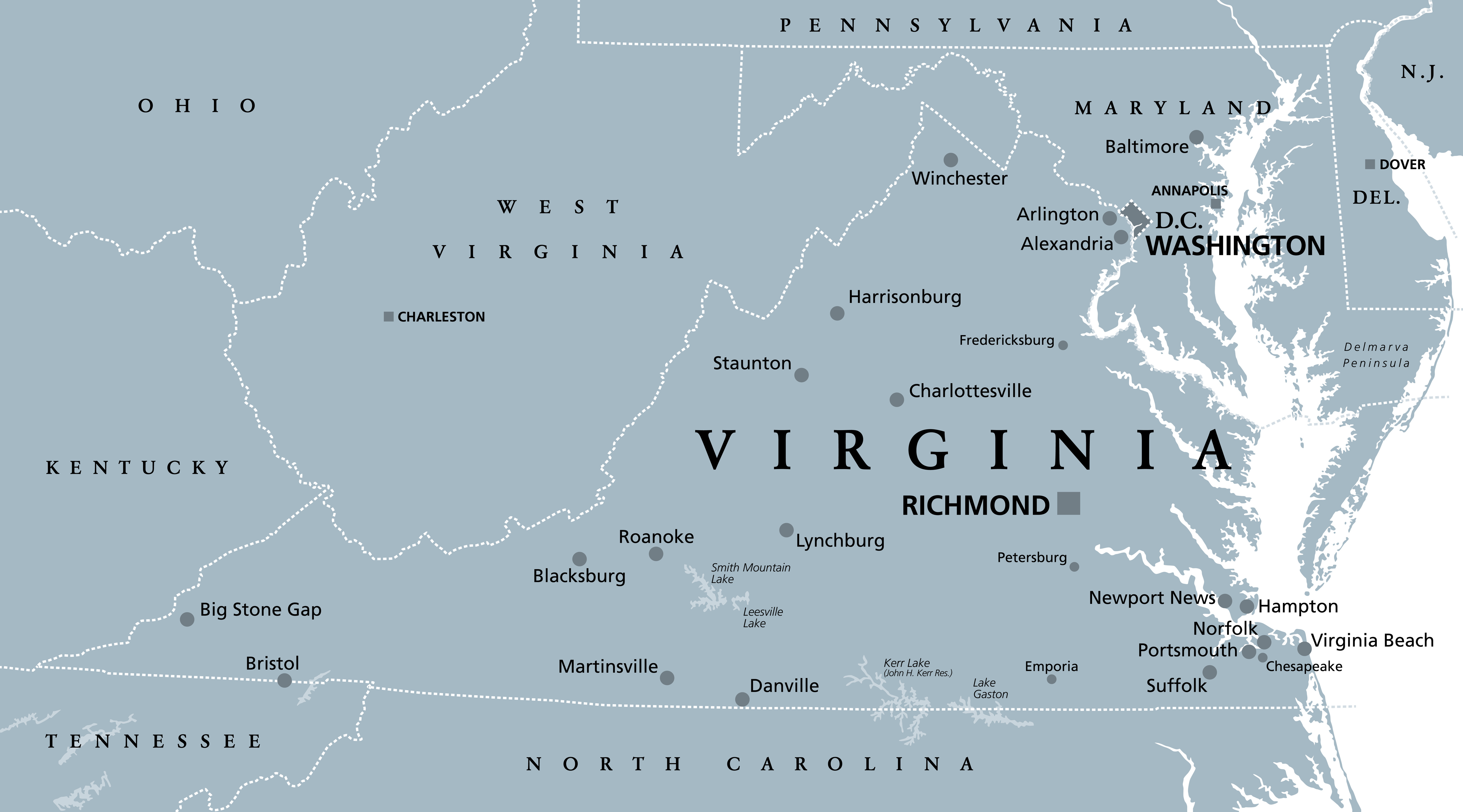 How a Lobster perfectly illustrates the problem with Virginia’s proposed redistricting