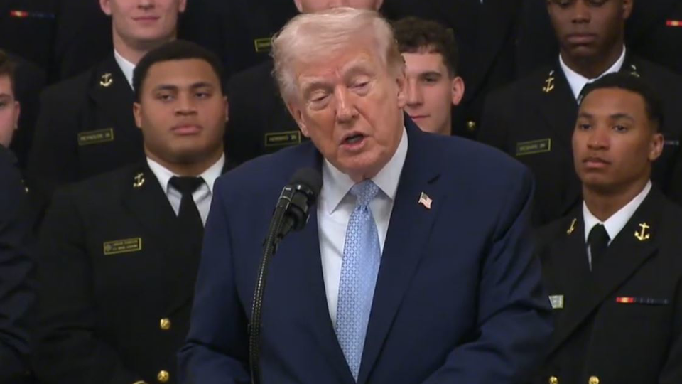 Is NATO the paper tiger of the world? President Trump thinks so