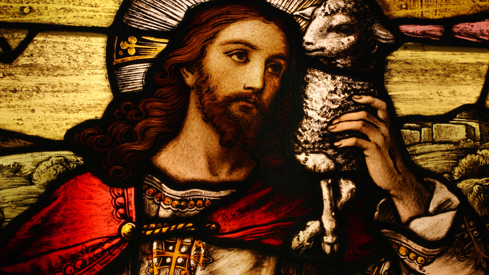 When hatred informs your politics more than Jesus