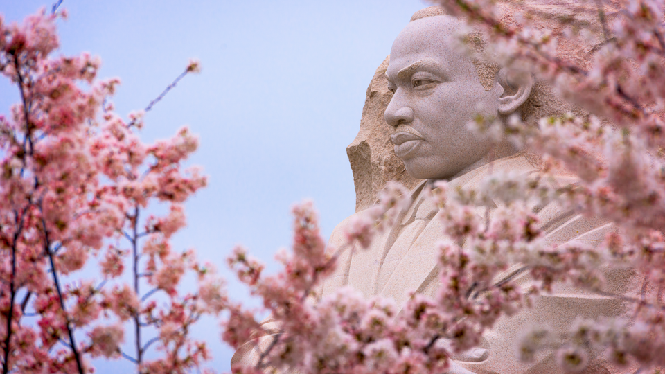 Trump releases MLK documents