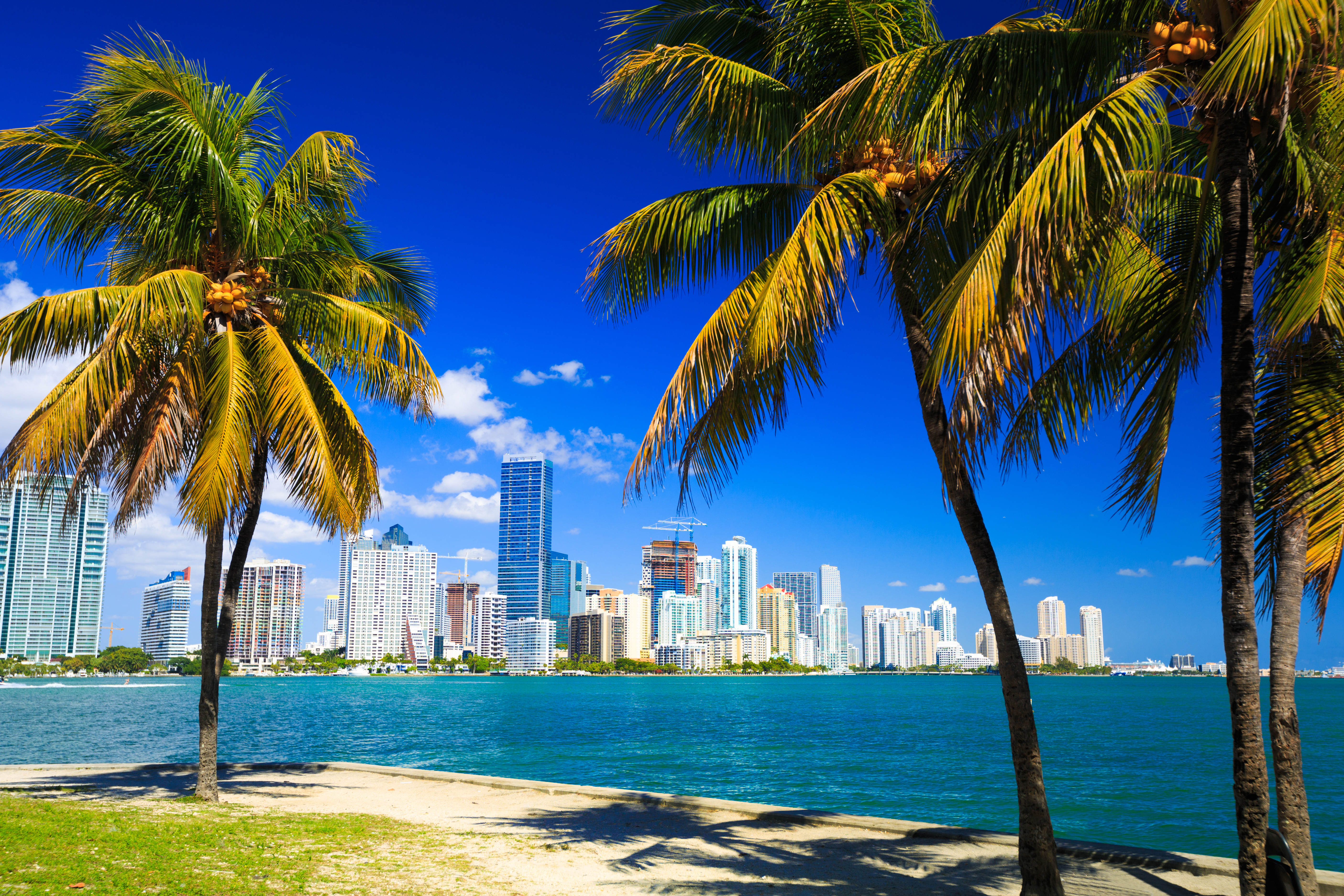 Why is Palantir moving to Florida?
