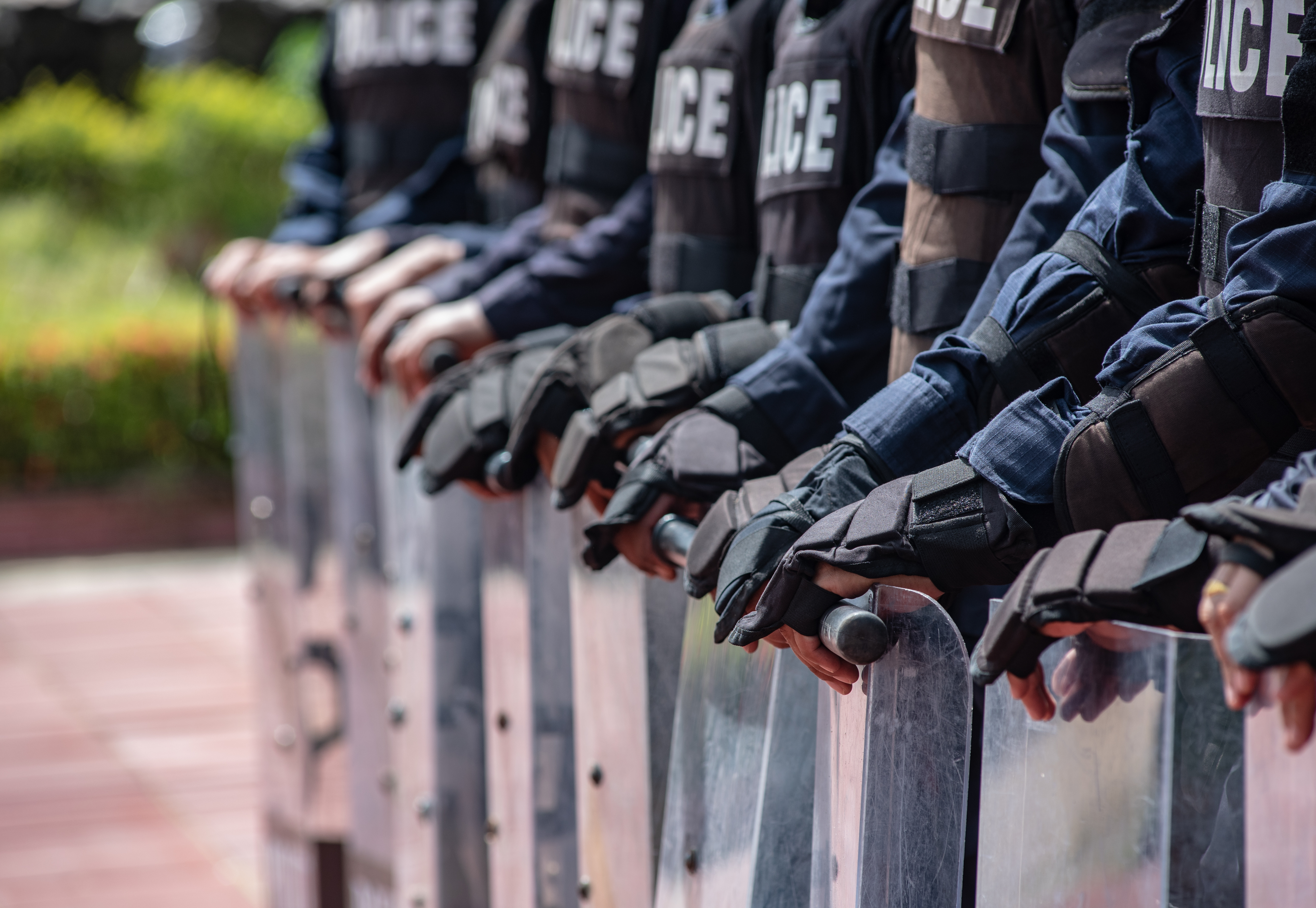 What will the Pentagon’s new task force look like?