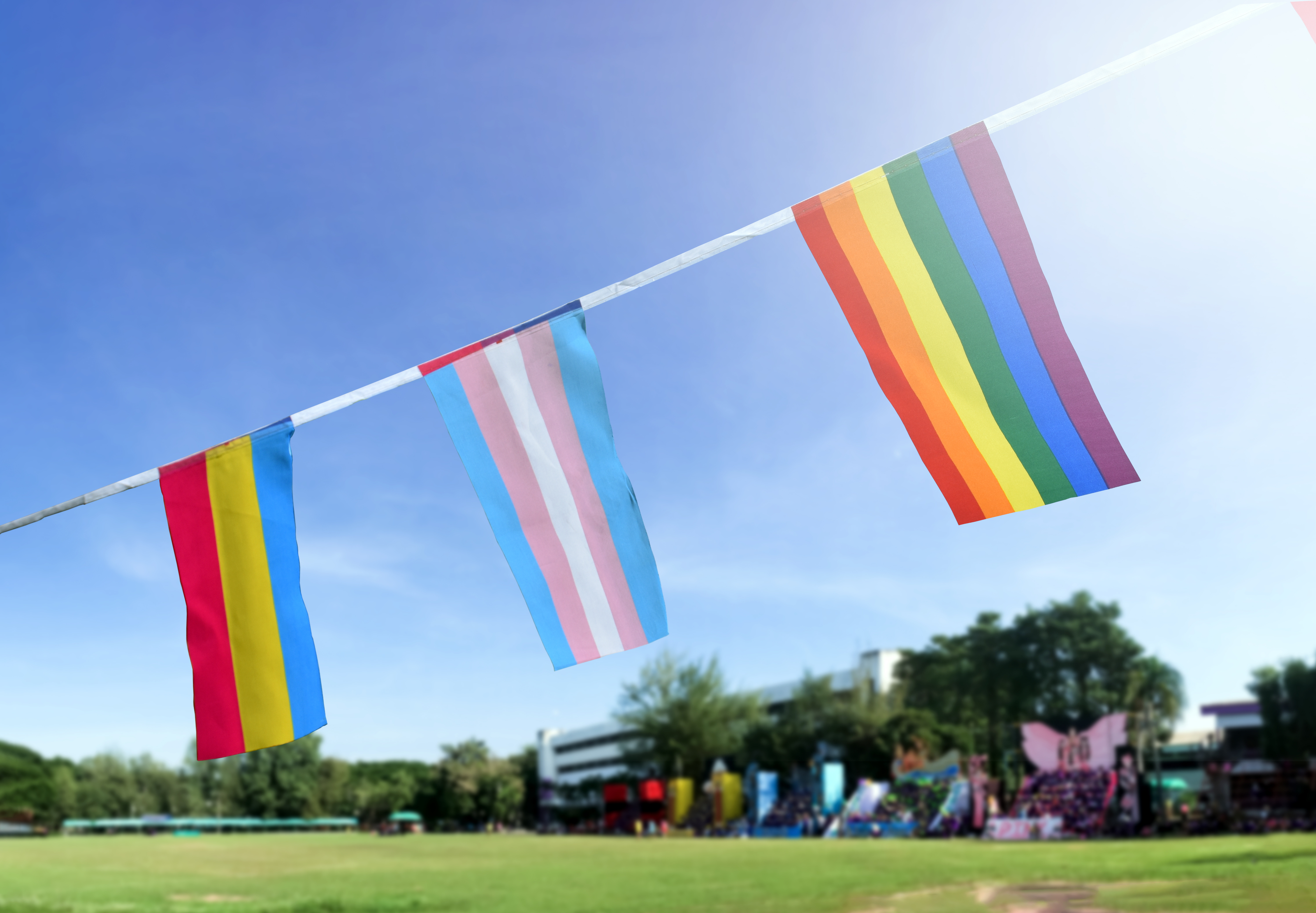 Sodomy sells? The vulgar Hello Fresh Pride Month ad