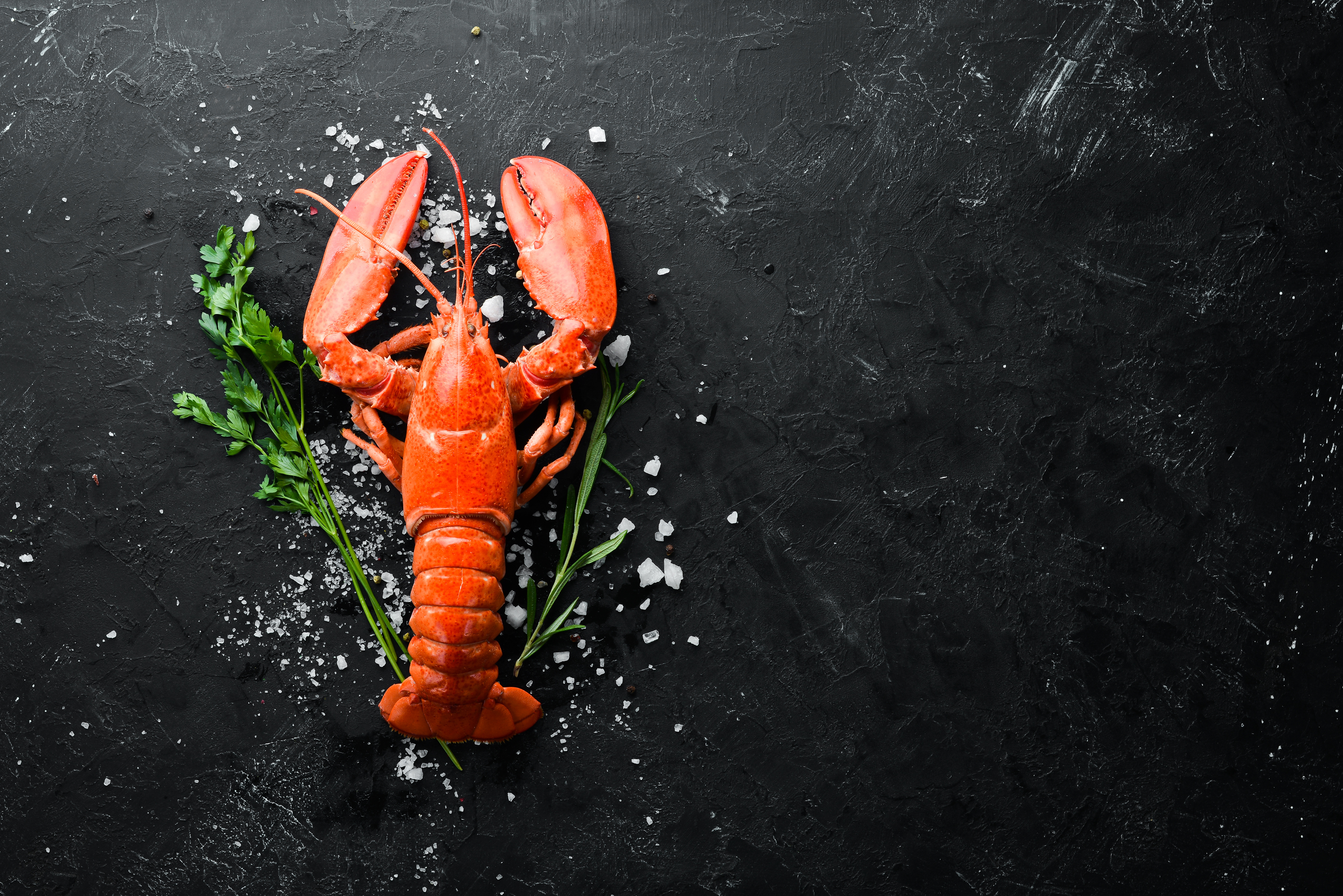 Why did the DoD spend millions on Lobster? What the media won’t admit